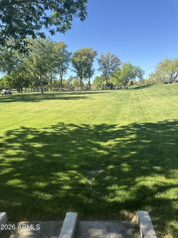 2517 W MORSE Drive, Anthem, AZ 85086