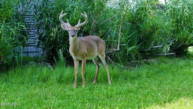 416 Skimmer Cove, Fripp Island, SC 29920