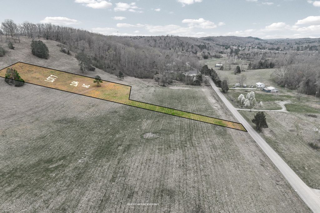 Lot 7 N Nopone Valley Road 1, Decatur, TN 37322