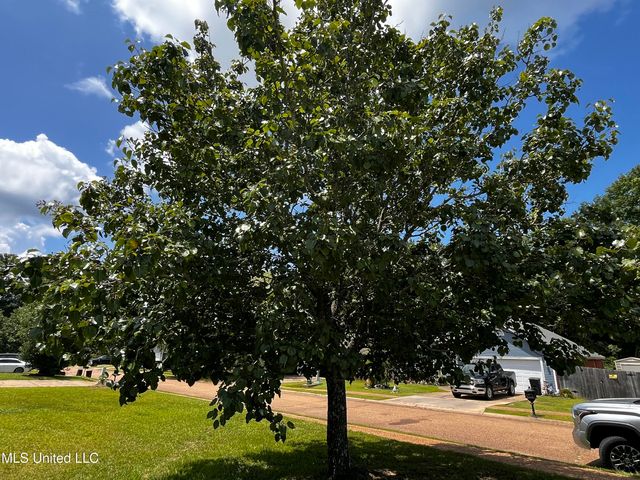 1043 Spanish Oak Boulevard, Florence, MS 39073