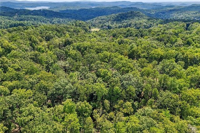 3 Turkey Spur Drive, Ellijay, GA 30540
