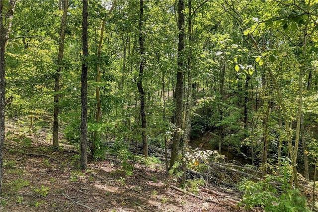 3 Turkey Spur Drive, Ellijay, GA 30540