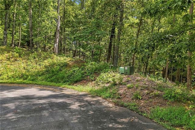 3 Turkey Spur Drive, Ellijay, GA 30540