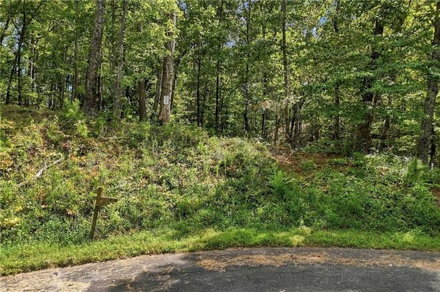3 Turkey Spur Drive, Ellijay, GA 30540