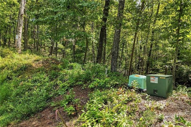 3 Turkey Spur Drive, Ellijay, GA 30540