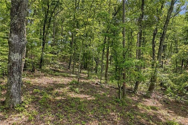 3 Turkey Spur Drive, Ellijay, GA 30540