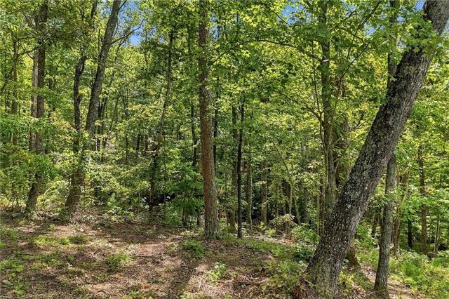 3 Turkey Spur Drive, Ellijay, GA 30540