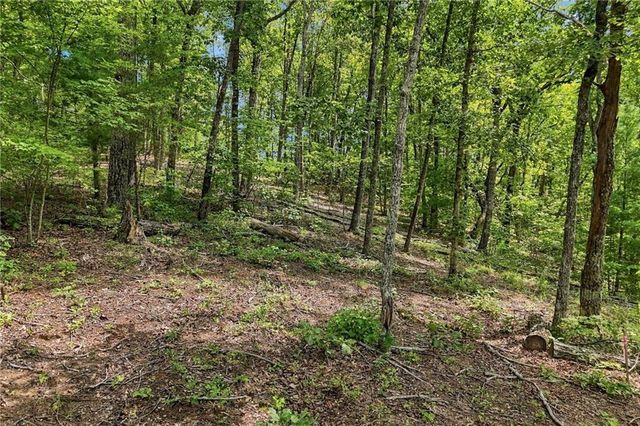 3 Turkey Spur Drive, Ellijay, GA 30540