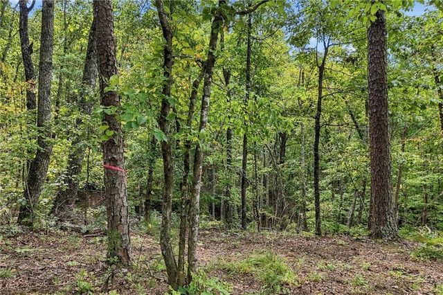 3 Turkey Spur Drive, Ellijay, GA 30540