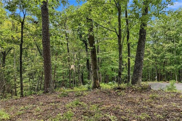 3 Turkey Spur Drive, Ellijay, GA 30540