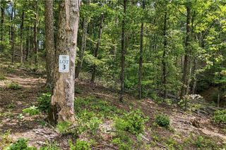 3 Turkey Spur Drive, Ellijay, GA 30540