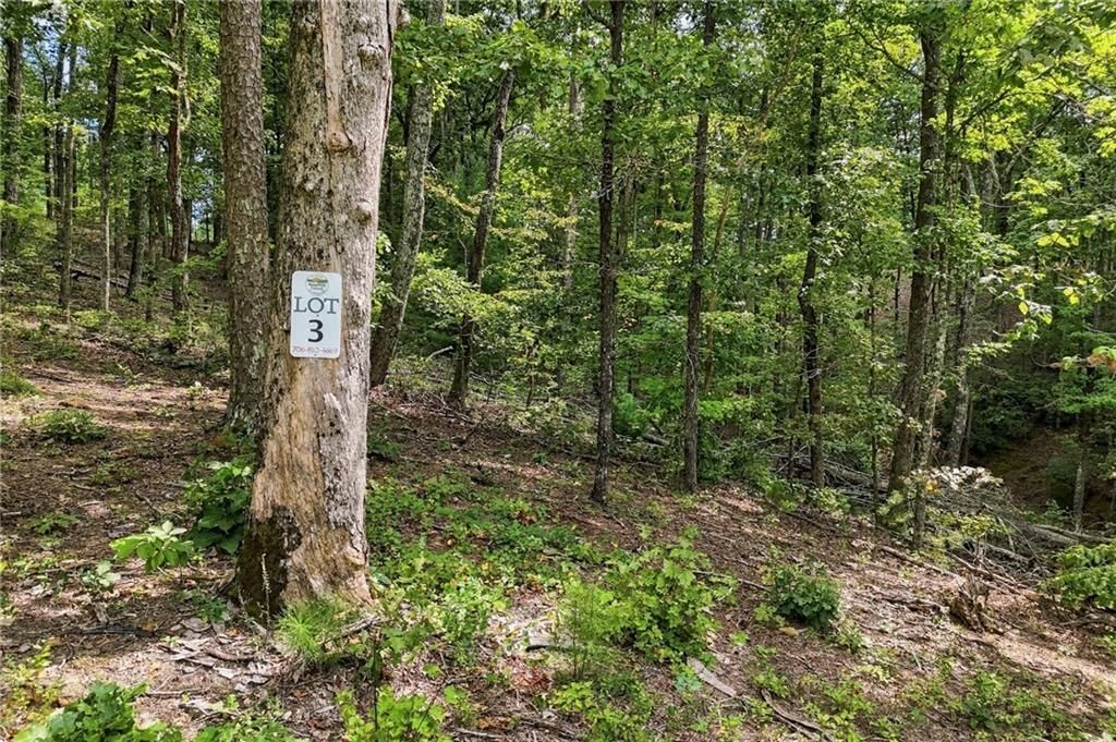 3 Turkey Spur Drive, Ellijay, GA 30540