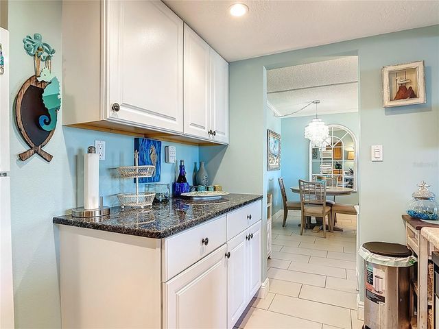 4501 S ATLANTIC AVENUE 205, New Smyrna Beach, FL 32169