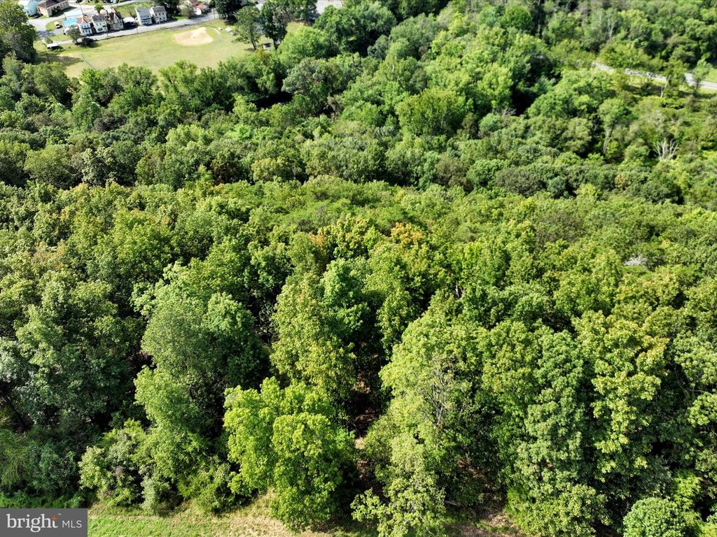 0 GREEN TREE DR, Landingville, PA 17942