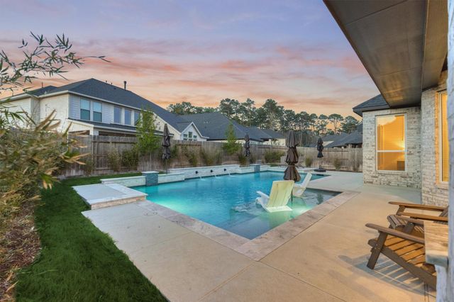 15230 Tree Swallow Court, Magnolia, TX 77354