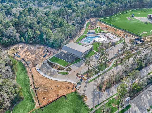 15230 Tree Swallow Court, Magnolia, TX 77354