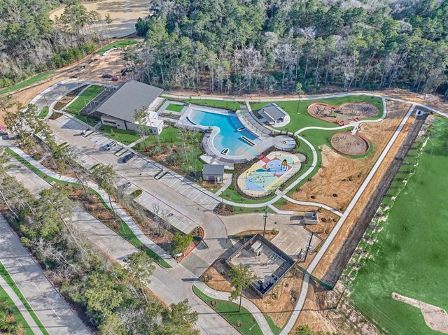 15230 Tree Swallow Court, Magnolia, TX 77354