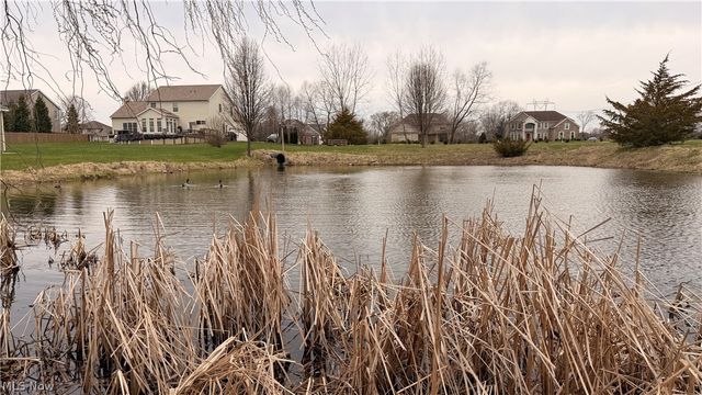 3629 Windsong Drive, Medina, OH 44256