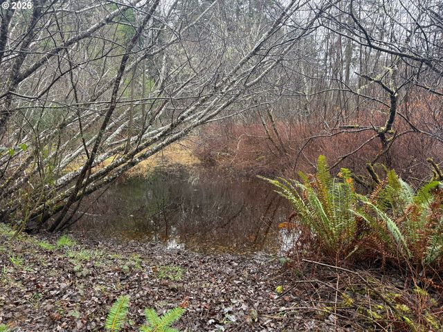 88579 HIGHWAY 42S, Bandon, OR 97411
