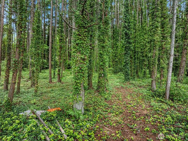 0 NE West Port Madison Road, Bainbridge Island, WA 98110