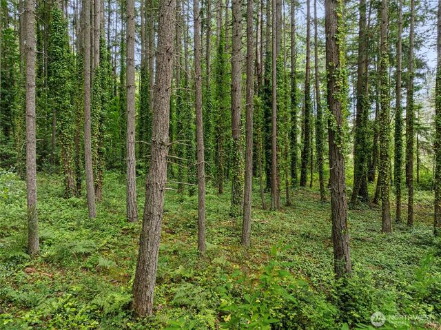 0 NE West Port Madison Road, Bainbridge Island, WA 98110