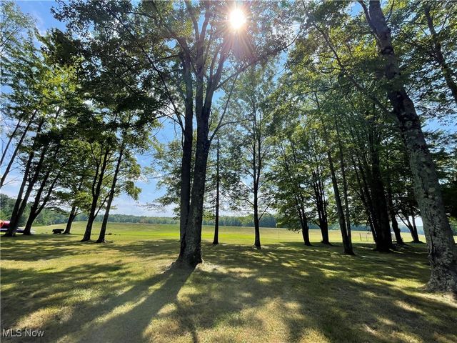 8494 Murphy Road, Thompson, OH 44086