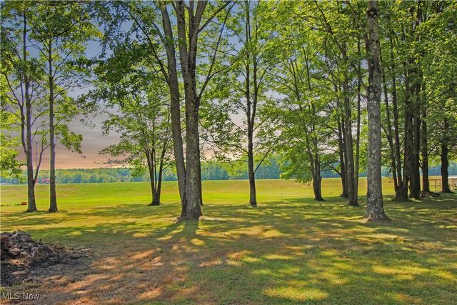 8494 Murphy Road, Thompson, OH 44086