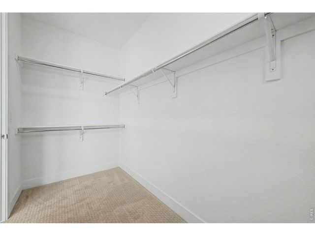 701 Saddle Dr, Erie, CO 80516