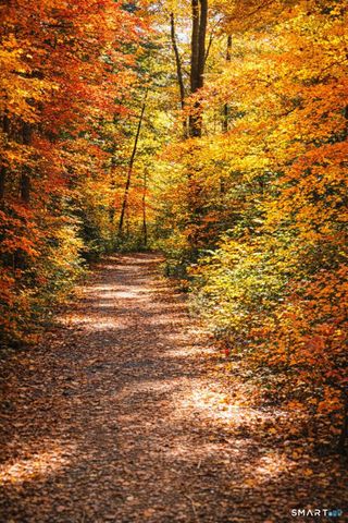 7 Maple Lane 7, Avon, CT 06001