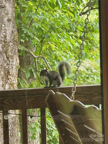 71 Maggie Lane, Maggie Valley, NC 28751