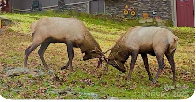 71 Maggie Lane, Maggie Valley, NC 28751