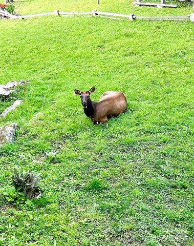 71 Maggie Lane, Maggie Valley, NC 28751