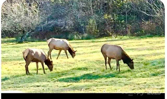 71 Maggie Lane, Maggie Valley, NC 28751