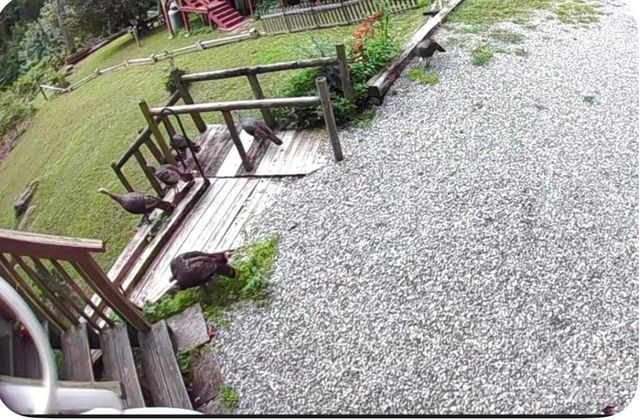 71 Maggie Lane, Maggie Valley, NC 28751