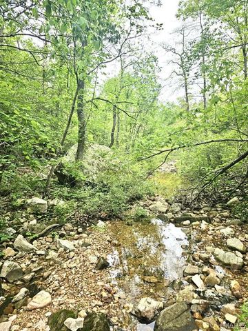 15383 County Road 6220, Edgar Springs, MO 65462