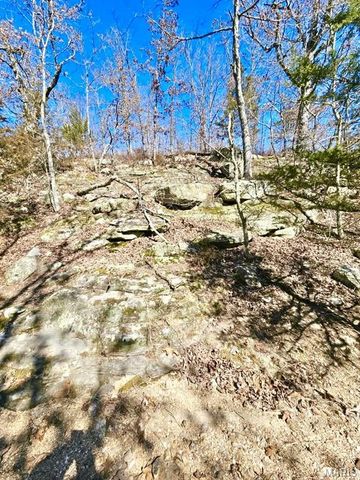 15383 County Road 6220, Edgar Springs, MO 65462