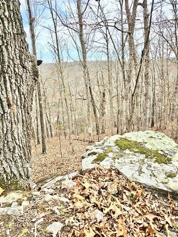 15383 County Road 6220, Edgar Springs, MO 65462