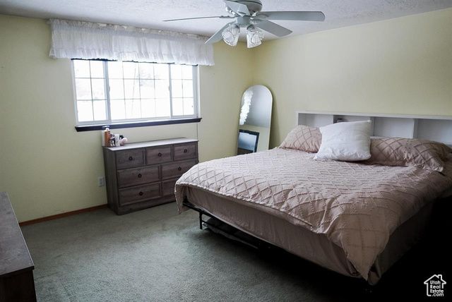 260 W 4TH, Soda Springs, ID 83276