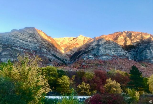 544 S CARTERVILLE, Orem, UT 84097