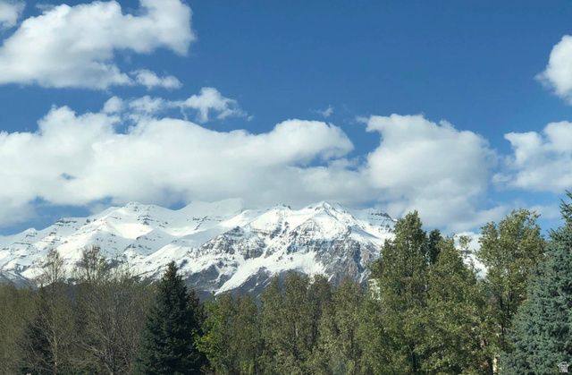 544 S CARTERVILLE, Orem, UT 84097