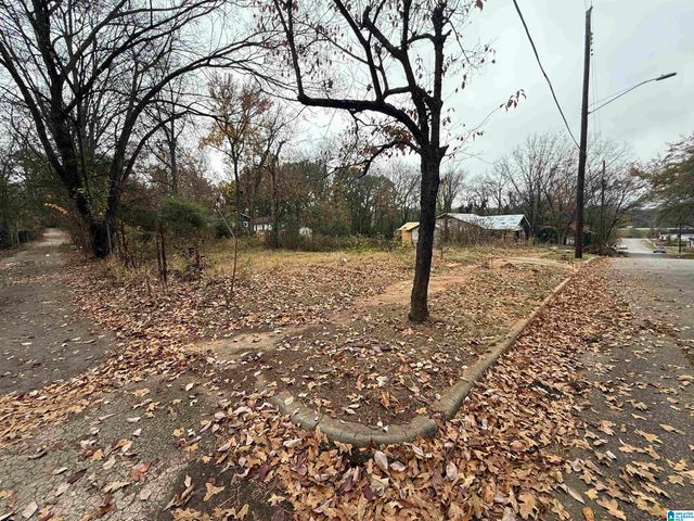 6515 3RD AVENUE S, Birmingham, AL 35212