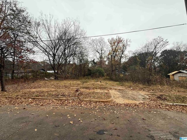 6515 3RD AVENUE S, Birmingham, AL 35212