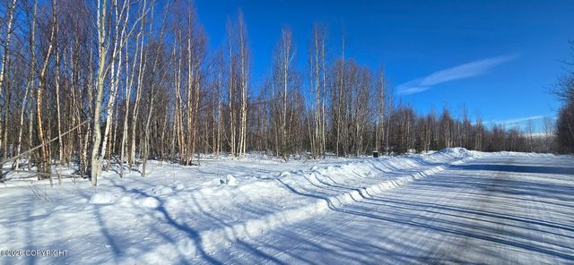 1386 N Knapp Drive, Big Lake, AK 99652
