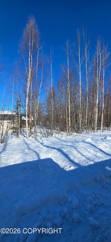 1386 N Knapp Drive, Big Lake, AK 99652
