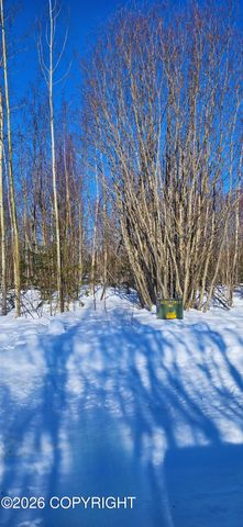 1386 N Knapp Drive, Big Lake, AK 99652