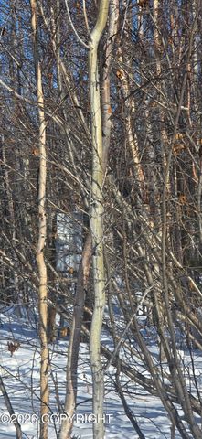 1386 N Knapp Drive, Big Lake, AK 99652