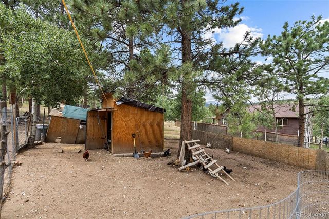 41 Yew Lane, Bailey, CO 80421