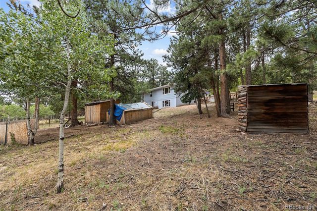 41 Yew Lane, Bailey, CO 80421
