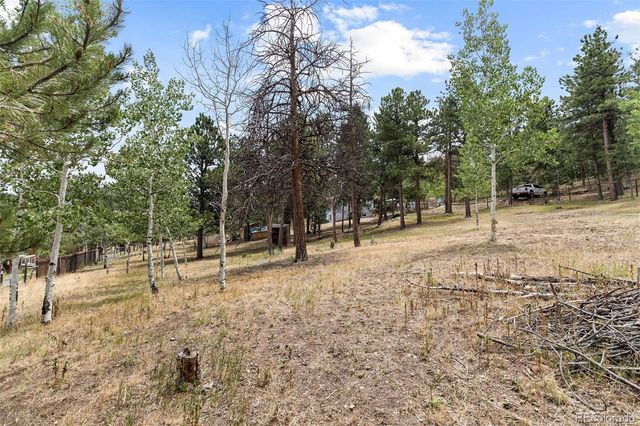 41 Yew Lane, Bailey, CO 80421