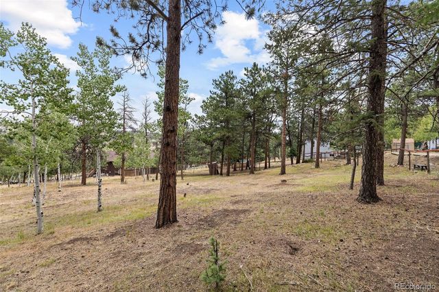 41 Yew Lane, Bailey, CO 80421